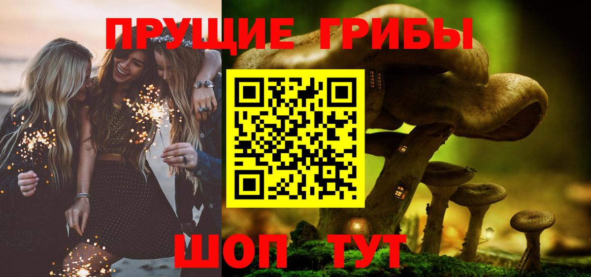 Лыткарино  Галлюциногенные грибы Psilocybe  Вход с VPN  Галлюциногенные грибы прущие грибы 
